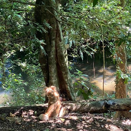 Campo Verde House, La Fortuna De San Carlos エクステリア 写真