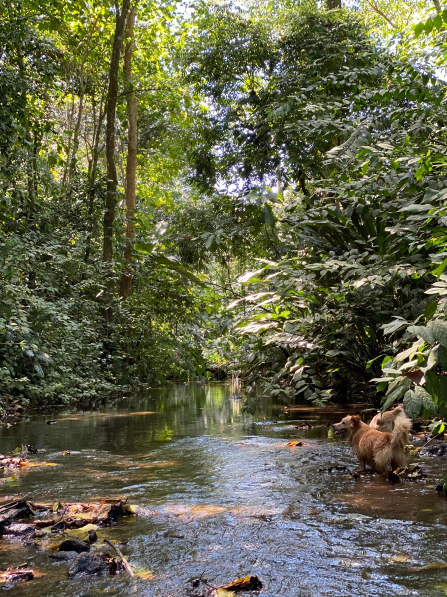 Campo Verde House, La Fortuna De San Carlos エクステリア 写真