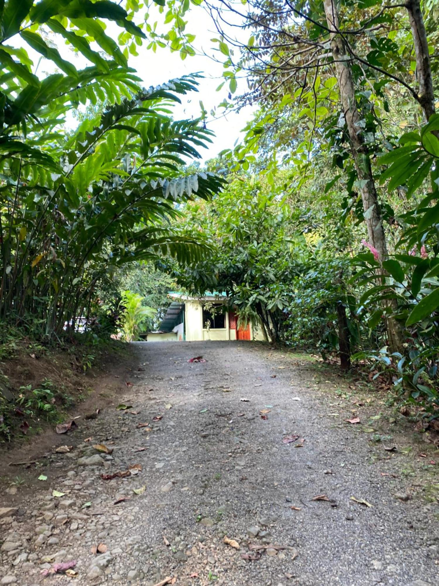 Campo Verde House, La Fortuna De San Carlos エクステリア 写真